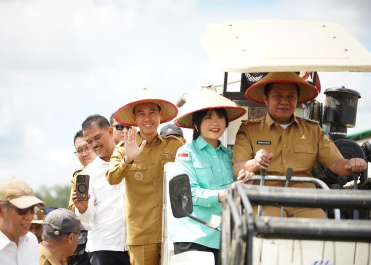 Petani OKI Panen Raya Serentak Bersama Presiden Secara Virtual 1 Petani OKI Panen Raya Serentak Bersama Presiden Secara Virtual
