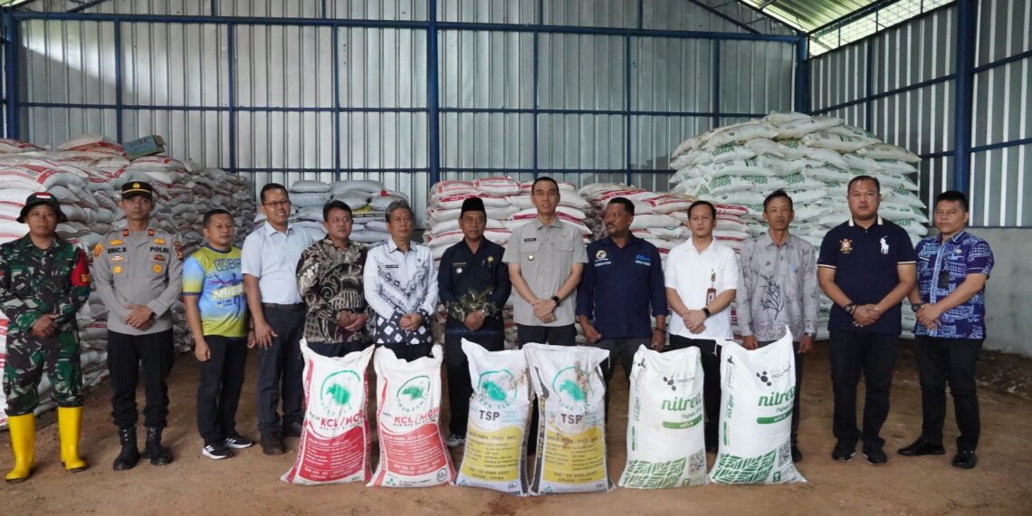 WhatsApp Image 2025 05 14 at 08.36.36 a5fbb39f